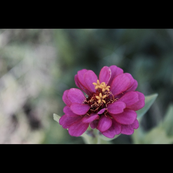 Meet your Posher, Casey - Picture 2 of 8